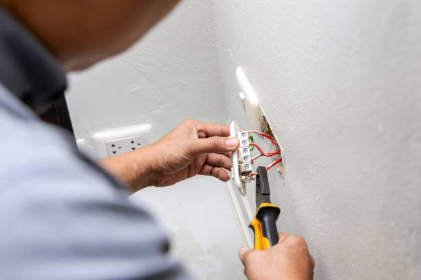 Best Electric Panel Repair  in Farmingville, NY